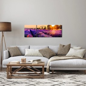 Tablou cu câmp de lavandă (cu ceas) (90x30 cm)
