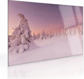 Tablou pe sticlă - Copaci sub așternut de zăpadă (70x50 cm)