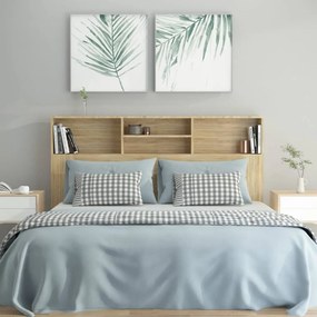 Tăblie de pat cu dulap, stejar sonoma, 160x19x103,5 cm