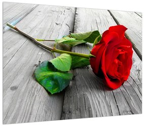 Tablou cu trandafirul roșu (70x50 cm), în 40 de alte dimensiuni noi