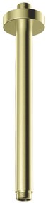Brat dus fix Deante 25 cm, auriu periat
