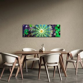 Tablou cu cactus (cu ceas) (90x30 cm)