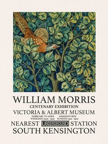 Reproducere Marigold (1895), William Morris