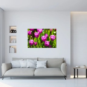 Tablou cu lale pe luncă (90x60 cm)