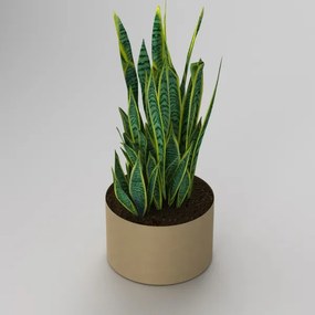 Ghiveci 11x17 cm auriu