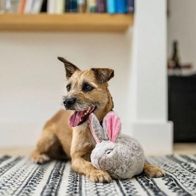 Jucărie pentru câine Iepure – P.L.A.Y.