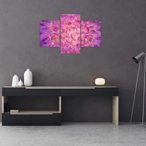 Tablou detailat cu floare (90x60 cm)