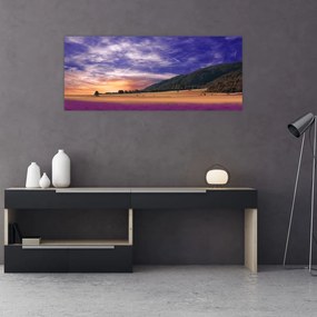 Tablou cu lunca cu lavandă (120x50 cm)