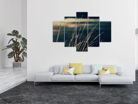 Tablou cu ierburi (150x105 cm)