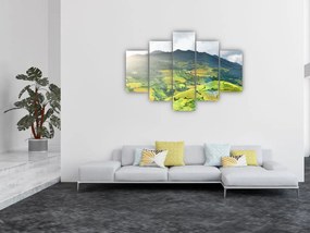 Tablou plantație (150x105 cm)