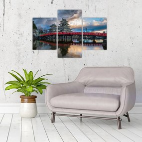 Tablou - Japonia (90x60 cm)