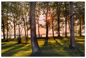Tablou cu pomi lângă lac (90x60 cm)