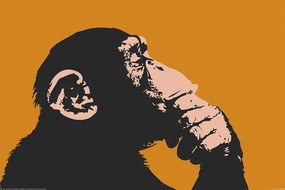 Poster Maimuță