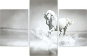 Tablou - Cal alb (90x60 cm)