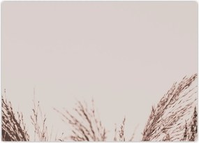 Tablou pe sticlă - Iarbă uscată (70x50 cm)