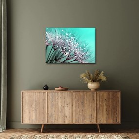 Tablou - planta cu rouă (70x50 cm)
