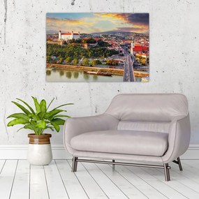 Tablou - Panorama bratislavei, Slovacia (90x60 cm)