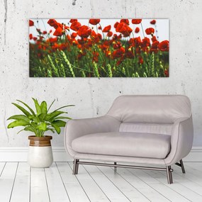 Tablou - Maci în vânt (120x50 cm)