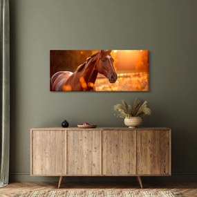 Tablou - Cal în apus de soare (120x50 cm)