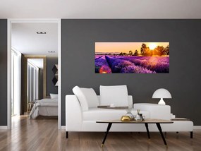 Tablou cu câmp de lavanda (120x50 cm)