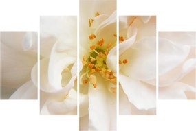 Tablou - Floare (150x105 cm)