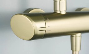 Arnika Coloana de dus cu Baterie finisaj auriu periat NAC_R1QK