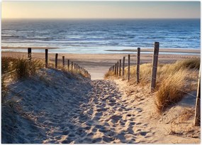 Tablou - Drum spre plaja din Marea Nordului, Țările de Jos (70x50 cm)