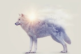 Tablou - Lupul arctic oglindit în peisaj sălbatic (90x60 cm)