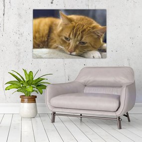 Tablou cu pisica (90x60 cm)