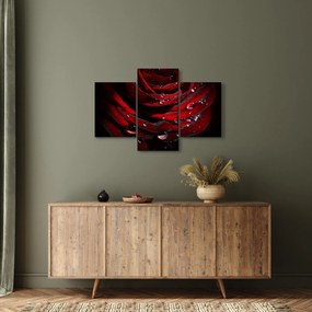 Tablou - Trandafir (90x60 cm)