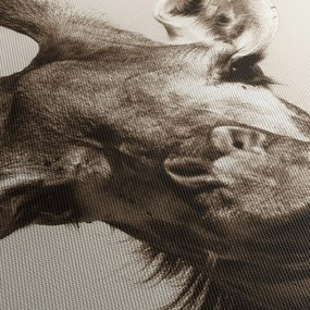 Tablou - Portret de girafă, de epocă (120x50 cm)