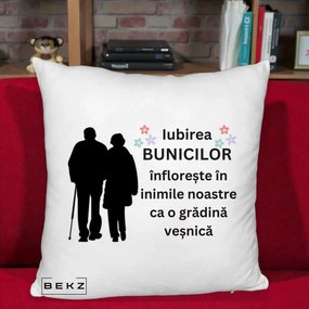 Cadou pentru Bunici - Perna Personalizata Bunicii Iubirea Infloreste Silueta Neagra Flori, 40x40 cm, Alb Pufos, Husa Detasabila, Perna Inclusa, BEKZ®