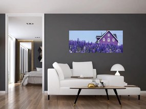 Tablou cu câmp de lavanda (120x50 cm)