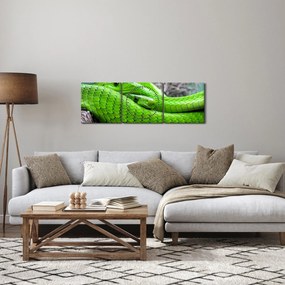 Tablou cu șerpi verzi (cu ceas) (90x30 cm)