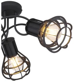 Spot CLASTRA 3xE27/40W/230V Globo 15388-3D