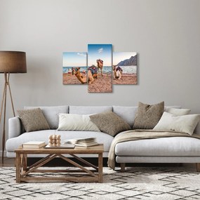 Tablou cu cămile (90x60 cm)