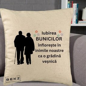 Cadou pentru Bunici - Perna Personalizata Bunicii Iubirea Infloreste Silueta Neagra Flori, 40x40 cm, Bej, Husa Detasabila, Perna Inclusa, BEKZ®