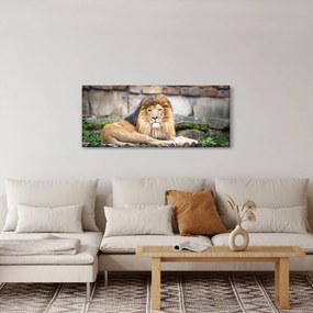 Tablou cu leu (120x50 cm)
