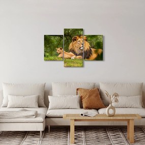 Tablou cu lei (90x60 cm)