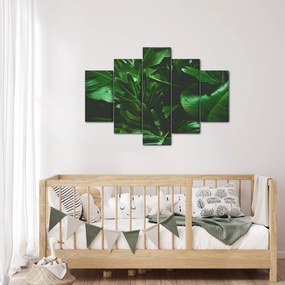 Tablou - Frunze de palmier (150x105 cm)