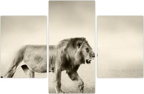 Tablou - Leul flămând (90x60 cm)