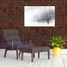 Tablou - Aleea de iarnă (90x60 cm)