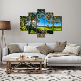 Tablou Privire la câmp (150x105 cm)