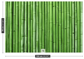 Fototapet Bamboo Green