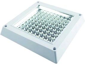 Plafoniera aplicata LED Ecoplanet, patrata 295x295mm, 16W, 1280LM, lumina neutra 4000k, sticla transparenta, alb Lumina neutra  - 4000K