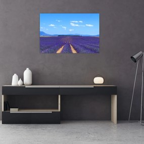 Tablou - Câmp de lavandă (90x60 cm)