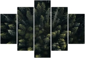 Tablou - Pădure (150x105 cm)