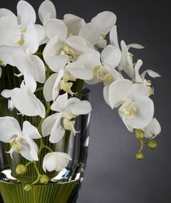 Aranjament floral mic decor festiv design LUX, PALMA PHALENOPSIS 1140781.95
