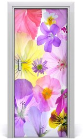 Autocolante pentru usi Autocolant de perete furnir DOOR flori colorate