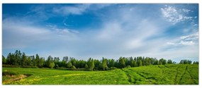 Tablou cu luncă (120x50 cm)